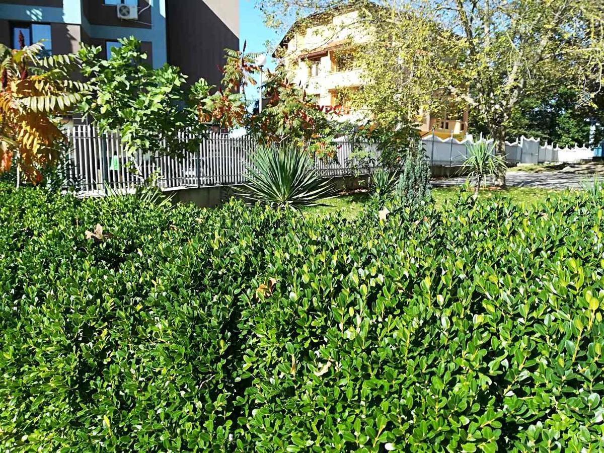 Park 1 Otel Naousa Dış mekan fotoğraf